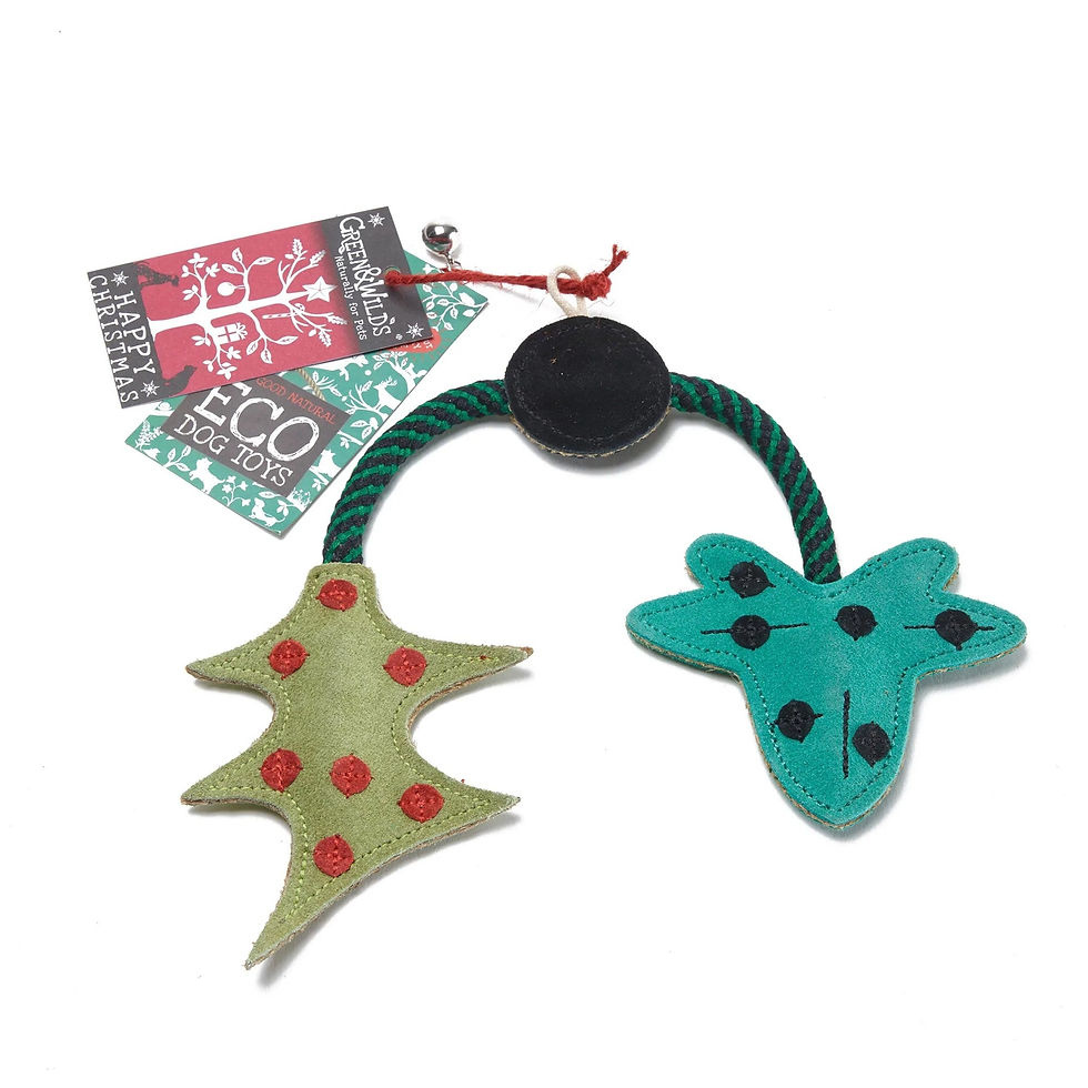 Green & Wild's Eco Dog Toy- Holly & The Ivy