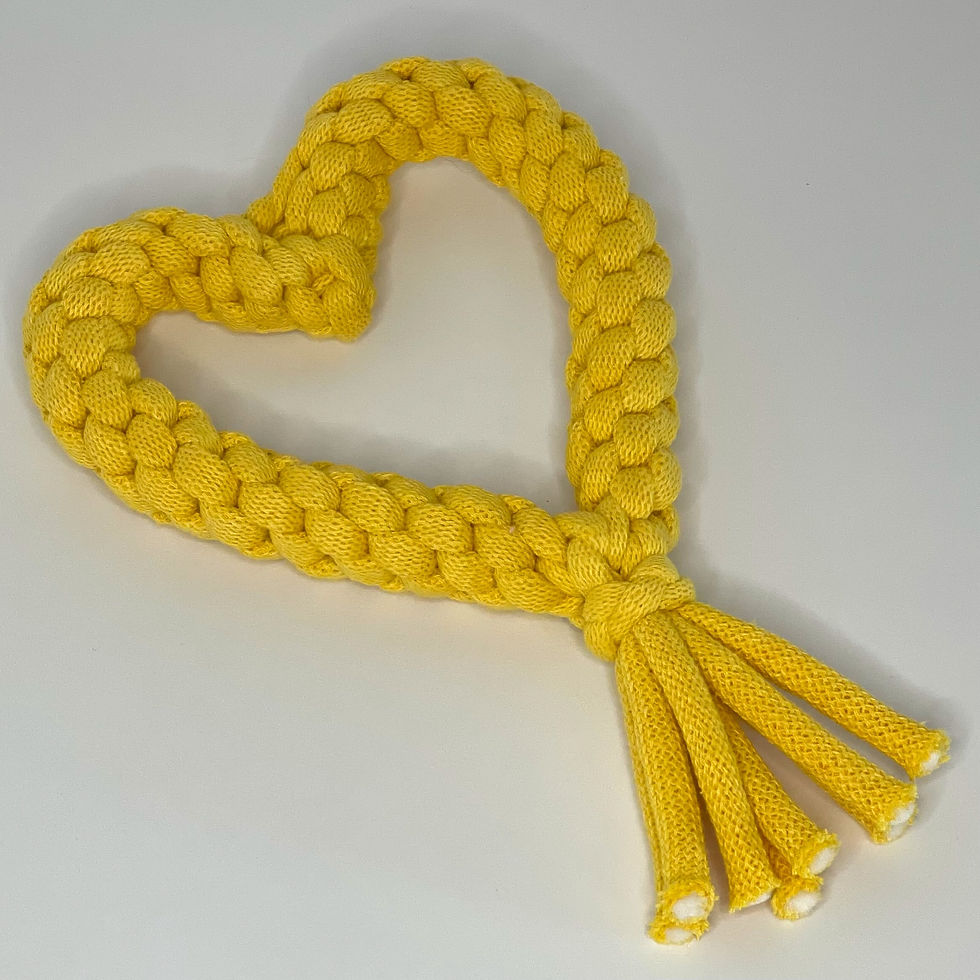 Thumbnail: Heart Rope Toy