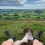 Dave Forknall Olive Paw Photography Yorkshire Dales and Lake District dog photography