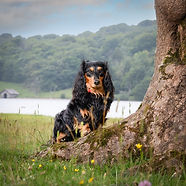 Murphy--1.jpg