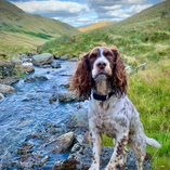 Dave Forknall Olive Paw Photography Yorkshire Dales and Lake District dog photography