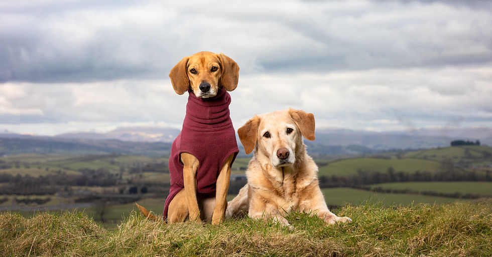 Kipper & Matilda