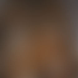 Vente Collections du DR. Christian Simatos & Divers     Arts Premiers - XX