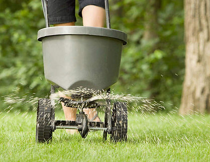 lawn fertilsation.jpg