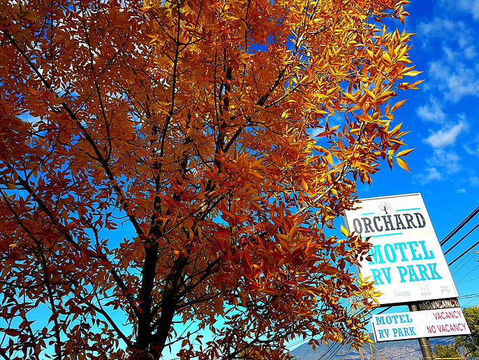 Autumn Orchard Sign.jpg