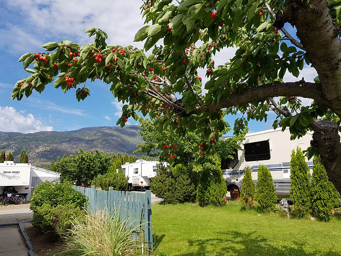 Orchard Sites.jpg