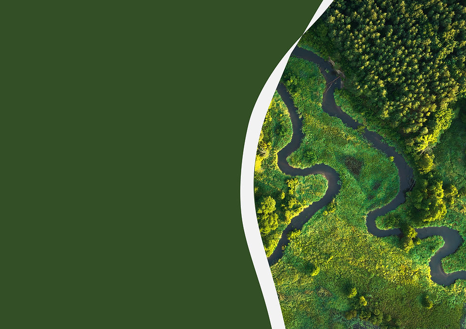 Background image vertical 2.jpg