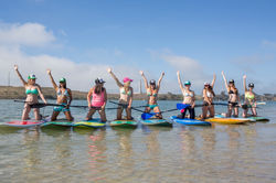 NobleAndrews_Koru_81_5035