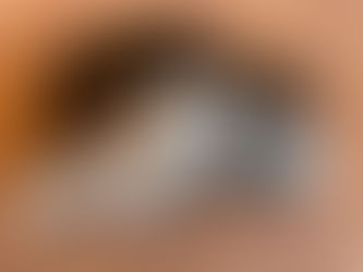 Musings On Pocket Guns