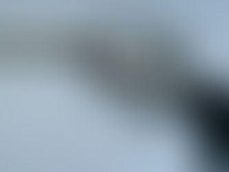 Wyatt Earp: The Man & The Legend