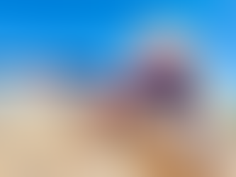 The Defensive Lever Action