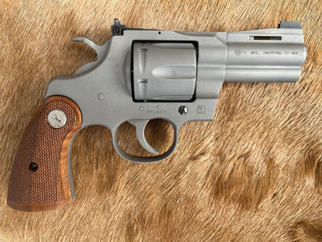 One Handgun For Personal Defense