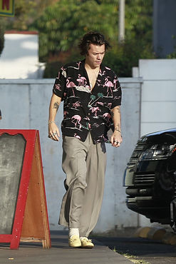 outfit-harry-styles-pap-141115-8outfits.