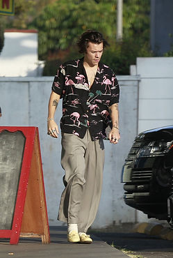 outfit-harry-styles-pap-141115-8outfits.