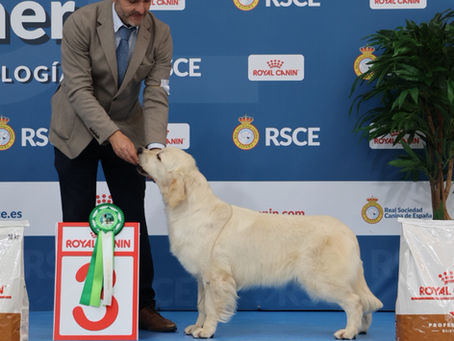 Laica triunfa en la Copa de España de la RSCE