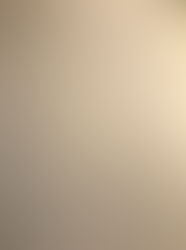 Improving Our Organisation