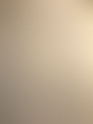 Improving Our Organisation