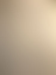 Improving Our Organisation