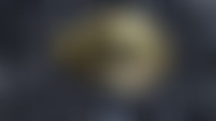 Come si determina il prezzo del bitcoin e quali fattori lo influenzano?