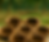 ChatGPT Image Jul 29, 2025, 05_42_41 PM.png