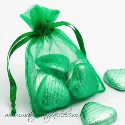 Sacchettini di organza con tirante verde