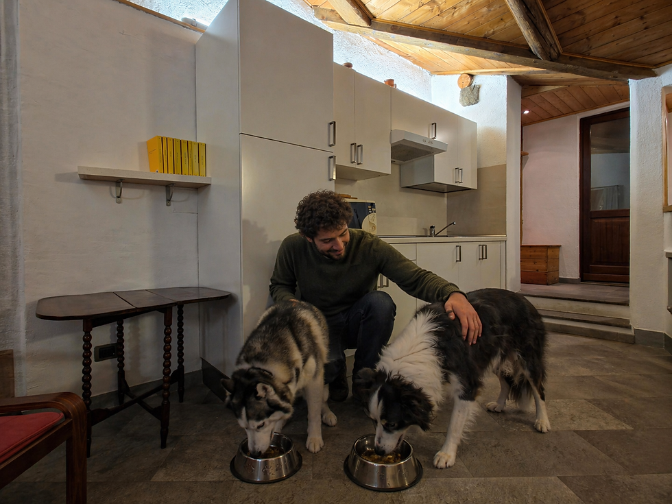 Eye-level view of a cozy dog house with dog bowls inside a room at the Hotel Chalet d'Oulx.