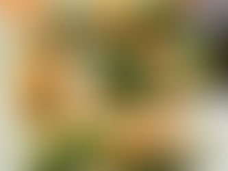 Recette rouleaux de printemps