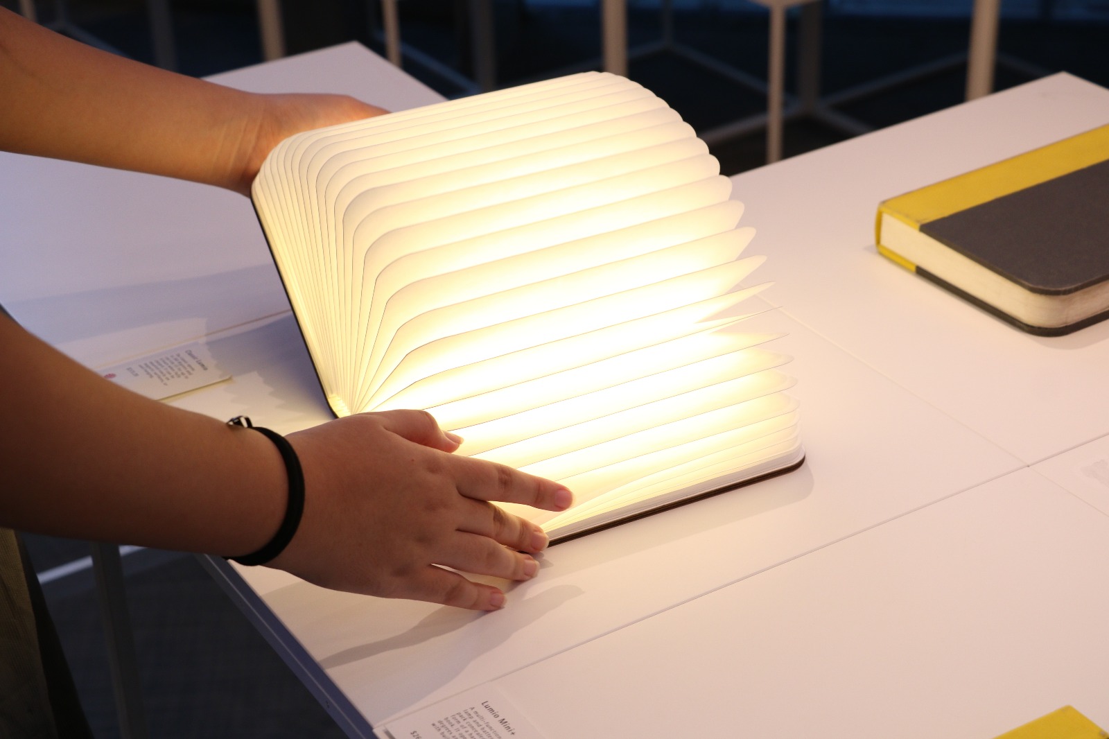 7f5bcc85-e24e-45bf-95a1-de4c81b4e478