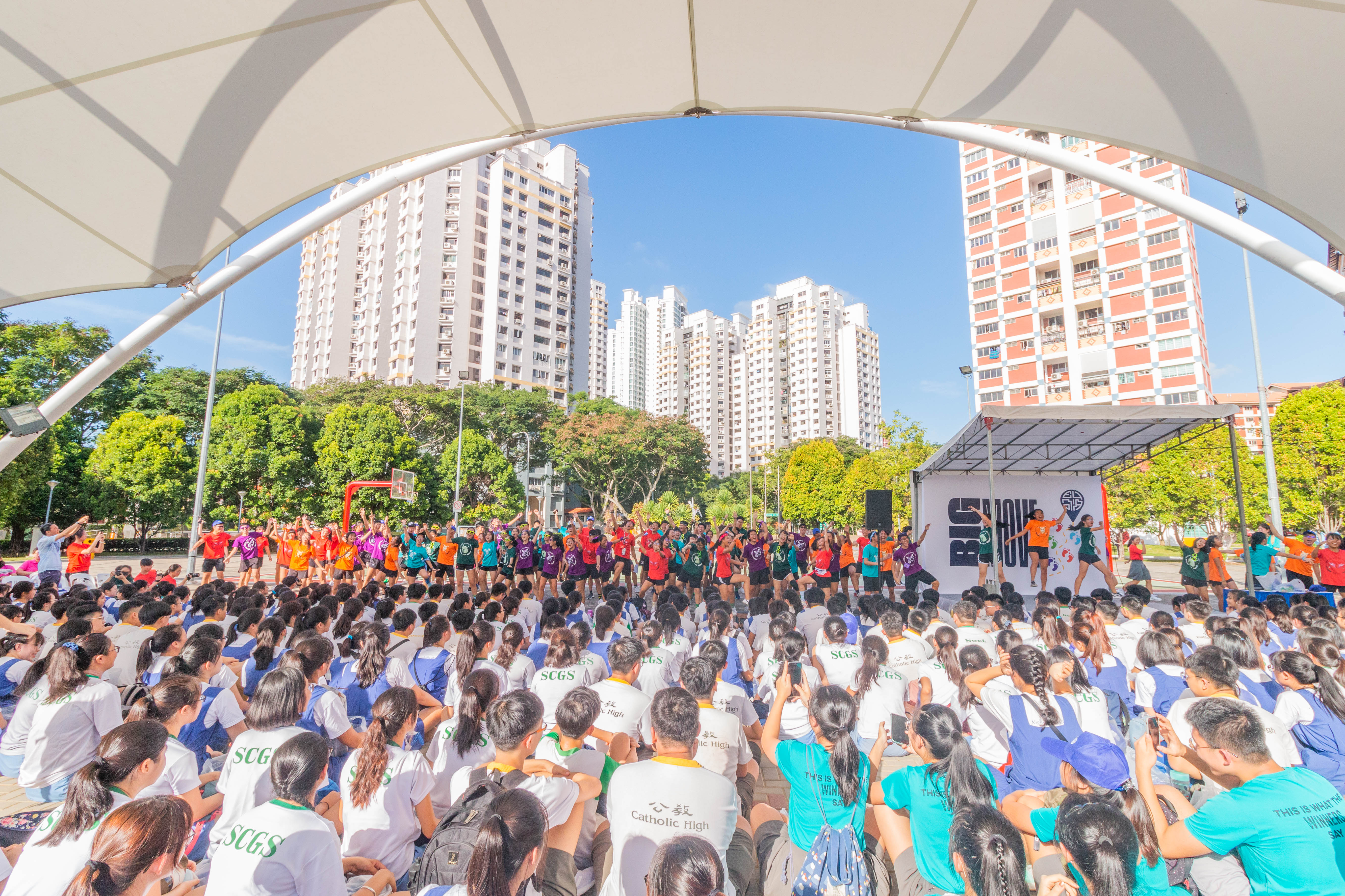 big move article 2.jpg