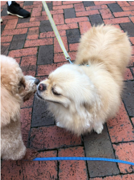 believe it or not article 2