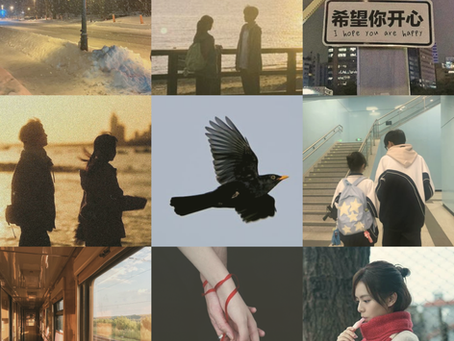 8 days to christmas – calling birds