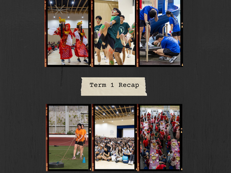 Highlights: Term 1 2026