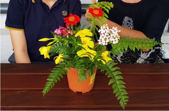 humans of eunoia going above and beyond photo