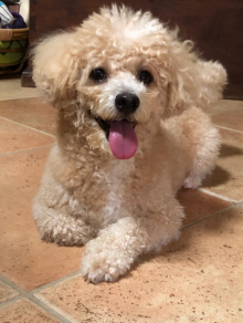 believe it or not article 1