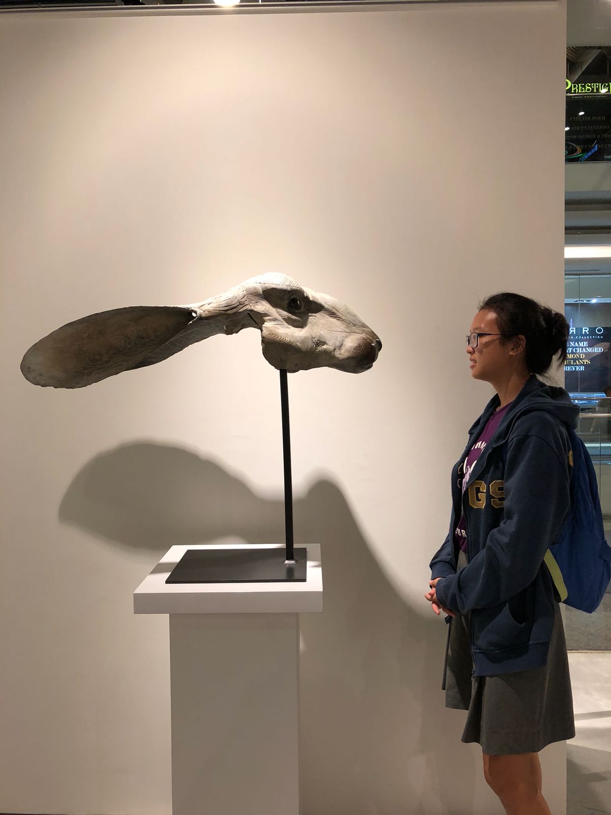 WhatsApp Image 2018-04-20 at 6.39.41 PM (1).jpeg