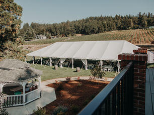 West Hills Vineyards Blends Family Legacy With a Fresh Vision in West Salem