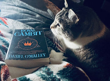 The Literary Adventures of Amber and Eleanor the Cat Daniel O’Malley / The Rook Series