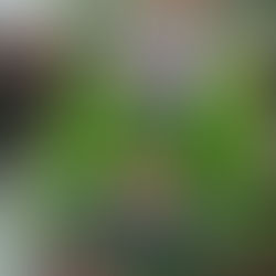 April is HWC Mobile Vet Clinic Month