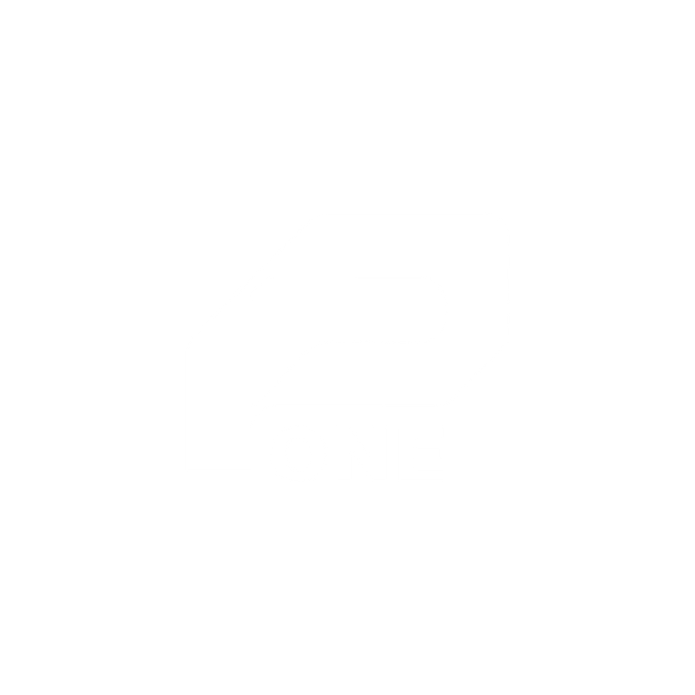 ParadigmOne(white9).png