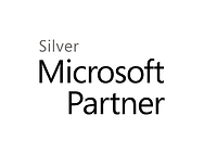 White Silver Microsoft Partner.png