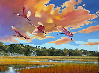 PHILLIPS_Spoonbills on St. Simon 40x30.jpeg