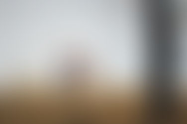 Familienfotos in der Abendsonne