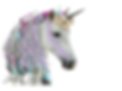 171338562_238023054397736_5289144946245840413_n.png