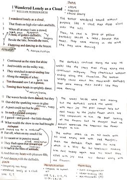 IMG-9869.PNG