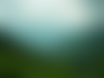 Exploring the Economic Landscape of West Virginia