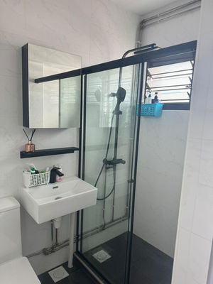 Glass Shower Sliding Screen Door