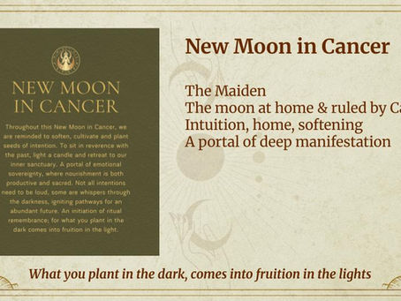 New Moon in Cancer Online Portal