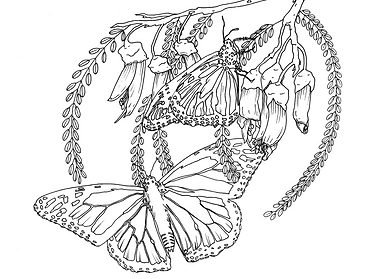 Screen Shot 2021-08-23 at 2.10.16 PM.png