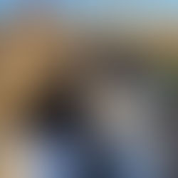 032225 KOLIS-KGSA Happy Hour