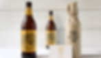 beer mockup 2.jpg